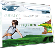 Web Design 3